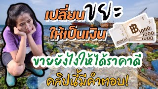 ขยะรีไซเคิล •อยากมีเงิน10000+ จากการเก็บขยะต้องทำอย่างไร คลิปนี้มีคำตอบ