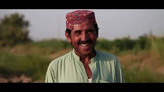 Organic Cotton Cultivation