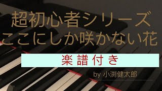 【ここにしか咲かない花】小渕健太郎〜超初心者シリーズ(32)