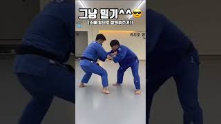 유도 양팔업어치기 되치기 기술모음 🍀🥋🥋🥋