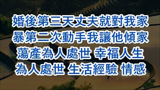 婚後第三天丈夫就對我家暴第二次動手我讓他傾家蕩產#為人處世 #幸福人生#為人處世 #生活經驗 #情感