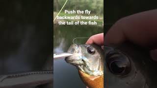 How to release fish who have swallowed the hook #shorts #fishing #fishingtips