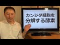 『カンジダ・クレンズ』自然療法でカンジダ菌をやっつけよう！【栄養チャンネル信長】