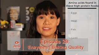 Enzymes and Baking Quality | Ask Dr. Lin Episode 29 | BAKERpedia