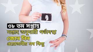 ৩৮ তম সপ্তাহ | গর্ভাবস্থার ৩৮ সপ্তাহে বাচ্চার এবং মায়ের শারিরীক পরিবর্তন | 38th week pregnancy