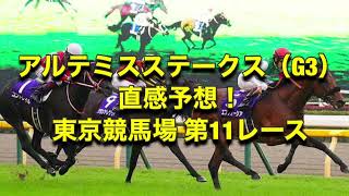 アルテミスステークス（G3） 直感予想！ 東京競馬場  第11レース