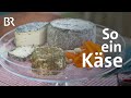 Käse: Wie gesund ist das beliebte Lebensmittel? | Gesundheit | BR