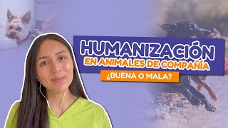 Humanización de mascotas ¿Buena o mala? - Tata.Veterinaria