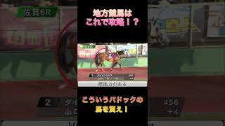 【地方競馬】完全攻略?!【パドック】#パドック #パドック予想 #地方競馬 #競馬