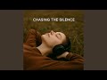 Chasing the Silence