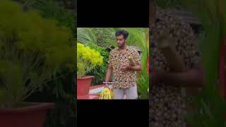 ഊഞ്ഞാൽ/#comedy /#short #status