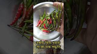 বর্ষায় বিনা খরচে লংকা চাষ পদ্ধতি #organicfarming