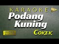 Podang Kuning Karaoke Cokek+Jaiplo set Gamelan Korg Pa600 + Lirik