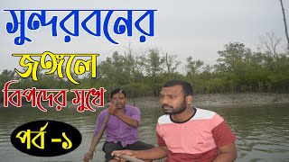 জলে জঙ্গলে জীবন কথা কয় sundarban jungle adventure.sundarban jungle safari#sundarbankarcha