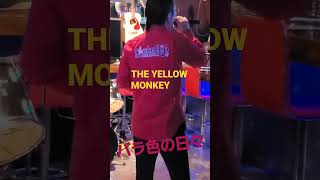 #バラ色の日々#THE YELLOW MONKEY#歌ってみた#ショート