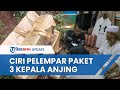 Kuasa Hukum Ungkap Ciri Pelaku Peneror Paket Berisi 3 Kepala Anjing, Dilakukan oleh Empat Orang