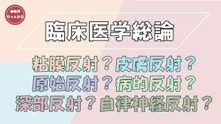 臨床医学総論【反射の分類】粘膜反射 皮膚反射 原始反射 病的反射 深部反射 自律神経反射