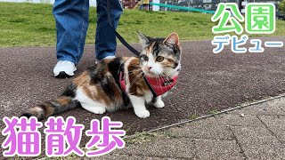 【猫散歩】散歩で公園デビューしちゃいました［前編］