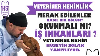 Veteriner Hekimlik Hakkında Merak Edilenler.