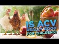 Apple Cider Vinegars and Chickens: Is ACV Really Beneficial for Our Flock?