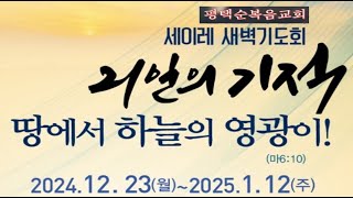 평택순복음교회 2024 ~2025 세이레 새벽기도회 (19)/  마12:38~50/제목: 예수 가족의 위대한 신비 /말씀:강헌식 담임목사