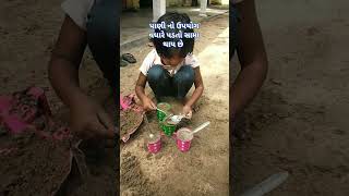 પાણી નો ઉપયોગ વધારે પડતો કયા થાય છે #ternding #farmerlife #vairalvideo