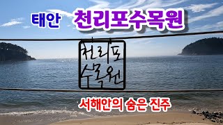 바다뷰가 있는 숲속정원 | '세계의 아름다운 수목원'인증