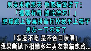 男友求婚那天，他家猫说话了：「裡頭有毒 誰吃誰死！」肥貓跳上餐桌拼命打掉我手上筷子。男友一下不笑了：「怎麼不吃，是不合口味嗎」我果斷拋下相戀多年男友帶貓跑路...#小說 #爽文 #完結 #故事 #情感