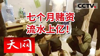 《天网》让警察都惊呆了！特大网络赌博团伙短短7个月涉案金额达上亿元 | CCTV社会与法