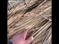 Water Hyacinth Raw Material for Weaving