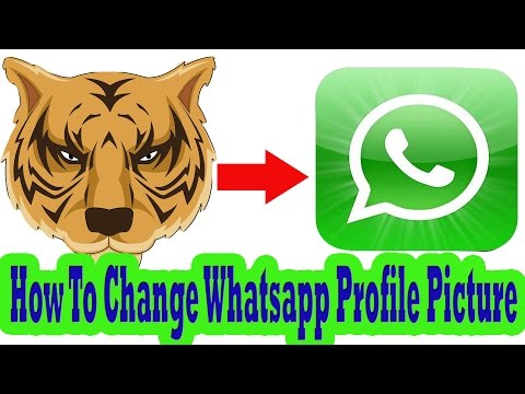 How To Change Whatsapp Profile Picture on Samsung Galaxy Phone How To Change Whatsapp Profile Picture on Samsung Galaxy Phone