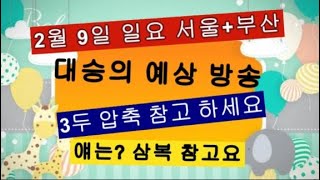 일요 서울.부산 예상 방송 추천마 들이 도움 되었으면 좋겠습니다