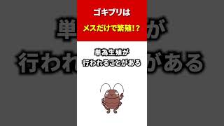 【ゴキブリ孵化】ゴキブリはメスだけで繁殖 #shorts #虫雑学 #害虫 #ゴキブリ