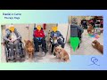 Pet Therapy presso Rsa Apsp S. Antonio Abate