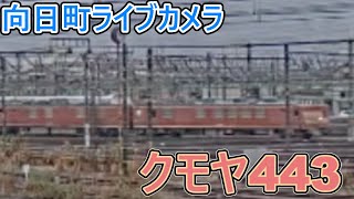 【向日町ライブカメラ】クモヤ443検測へ