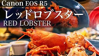 【Canon EOS R5 4K】レッドロブスターでランチ