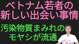 ベトナムの新しい出会い事情、汚染物質まみれのモヤシが流通