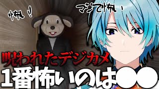 【呪いとは】恐怖が限界に達した渚トラウト、人間の怖さに触れる(渚トラウト/にじさんじ/切り抜き)