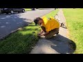 complete stranger gets full lawn service at no charge