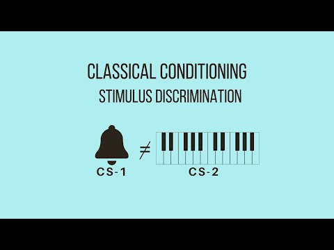 Which of the following is an example of stimulus discrimination?