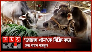 ২৪ মণের ‘জায়েদ খান’ প্রতিদিন খায় ২০ কেজি | Qurbani Cow | Eid ul-Adha | Zayed Khan | Somoy TV