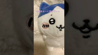 【ちいかわ】くりまんじゅうと一緒ぬいぐるみ/ハチワレちゃんが来たッ【オタ活】