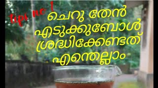 ചെറു തേൻ  എടുക്കുബോൾ ശ്രദ്ധിക്കേണ്ടത്  എന്തെല്ലാം /honey harvesting  \u0026making honeybox