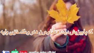 نوسینی 𝑠𝑤𝑎𝑖𝑏𝑎.𝑠𝑎𝑙𝑎𝑟.𝑜𝑓𝑓𝑖𝑐𝑖𝑎𝑙 ئەگەر بەلاتانەوەخۆش بوو رای خۆتان دەربڕن