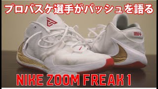 【バッシュ紹介 | シグネチャーモデル】 NIKE Zoom Freak 1【茨城ロボッツ | 友利 健哉】