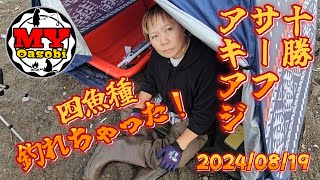 【釣り】道東　十勝　アキアジチャレンジ!!　６・７・８戦目 2024　#十勝釣り  #道東   #アキアジ  #北海道釣り#ぶっこみ  #サーフ　#秋鮭  #鮭釣り #鮭