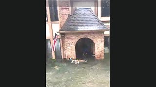 Live coverage of Harvey flood rescue