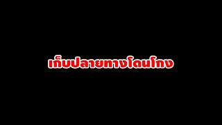 เก็บเงินปลายทางจะโดนโกงหรือไม่?แล้วจะทำยังไงถึงจะไม่โดนโกง#pcp #เบอร์2 #ลูกตอกเบอร์2