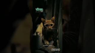 Parivar Chalana Bahut Badi Tapasya Hai #motivation #responsibility #viral #trending #shortsviral