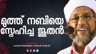 മുത്തു നബിയെ സ്നേഹിച്ച ഒരു ജൂതന്റെ ചരിത്രം | Perod Abdul Rahman Saqafi 2018